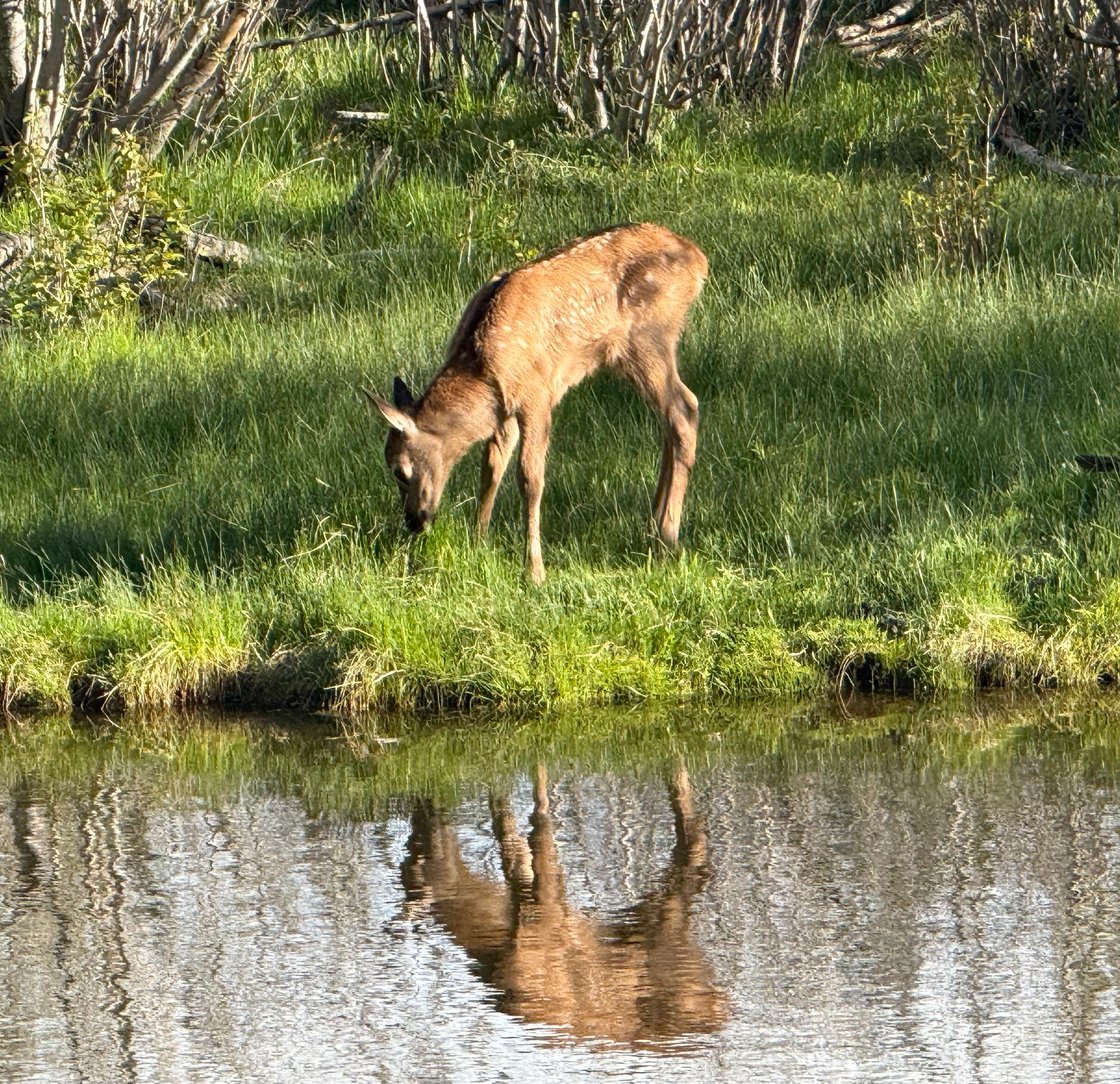 Roeder Consulting wishes you a healthy and happy start to your summer.  